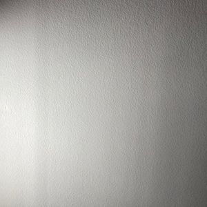 Meet your Posher, Leonardo